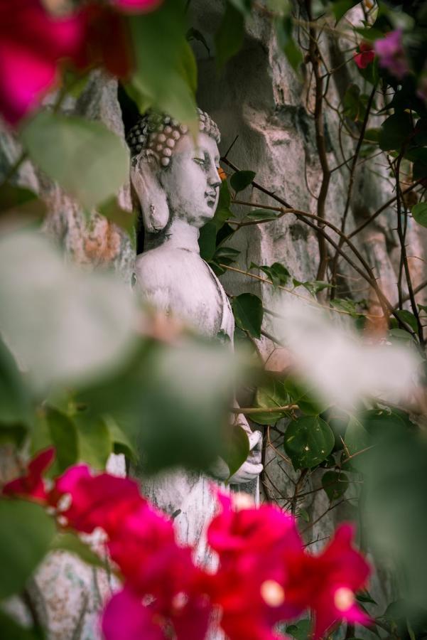 Готель Zen Garden Tamarindo - Adults Only Екстер'єр фото